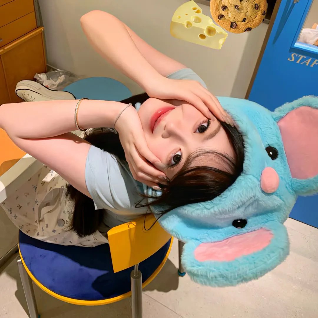 西辛6